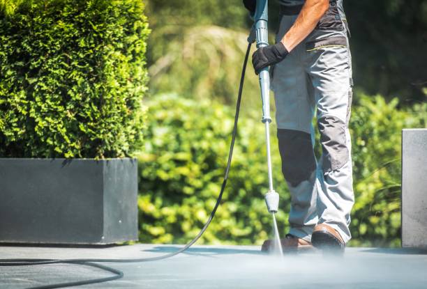Best Patio and Deck Pressure Washing  in Walnut Park, CA