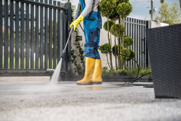 Best Building Exterior Washing  in Walnut Park, CA