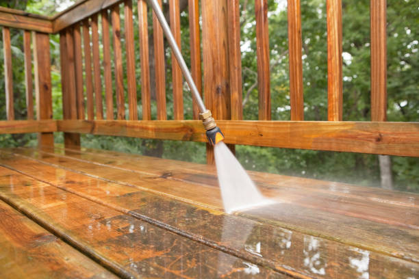 Best Driveway Pressure Washing  in Walnut Park, CA